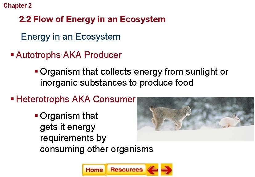 Chapter 2 Principles of Ecology 2. 2 Flow of Energy in an Ecosystem §