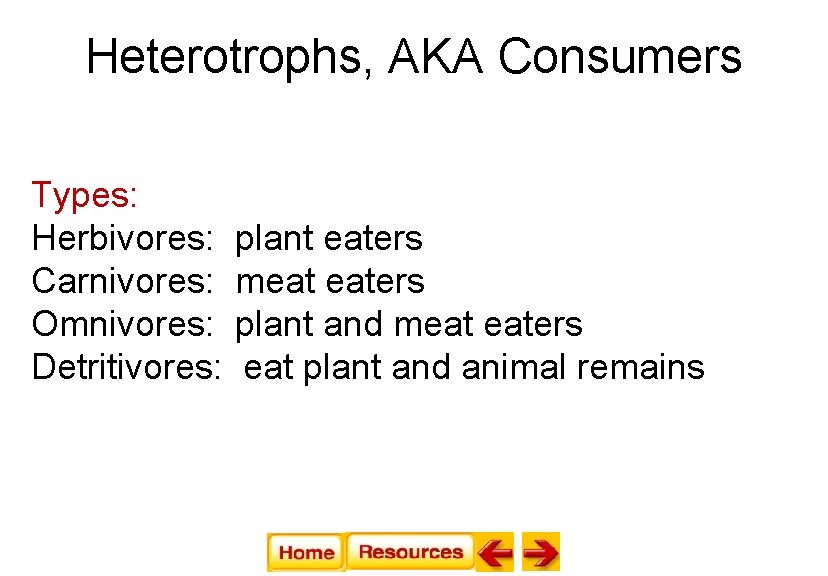 Heterotrophs, AKA Consumers Types: Herbivores: Carnivores: Omnivores: Detritivores: plant eaters meat eaters plant and