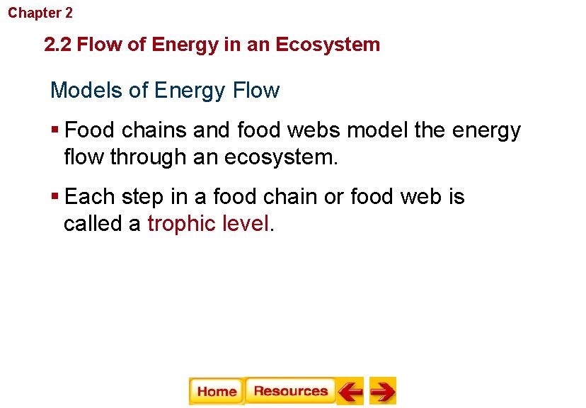 Chapter 2 Principles of Ecology 2. 2 Flow of Energy in an Ecosystem Models