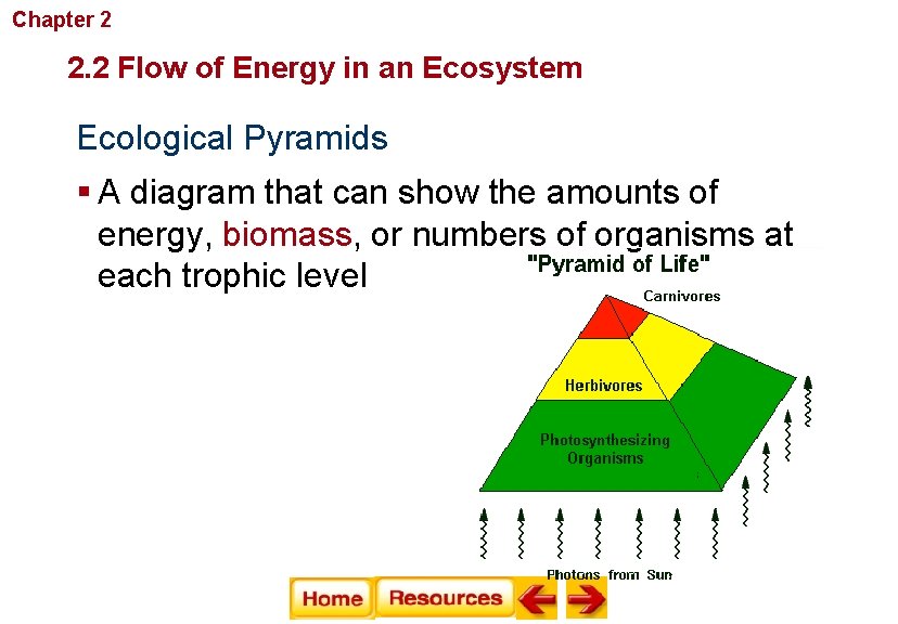 Chapter 2 Principles of Ecology 2. 2 Flow of Energy in an Ecosystem Ecological