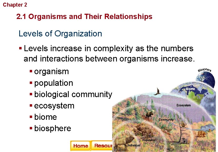 Chapter 2 Principles of Ecology 2. 1 Organisms and Their Relationships Levels of Organization