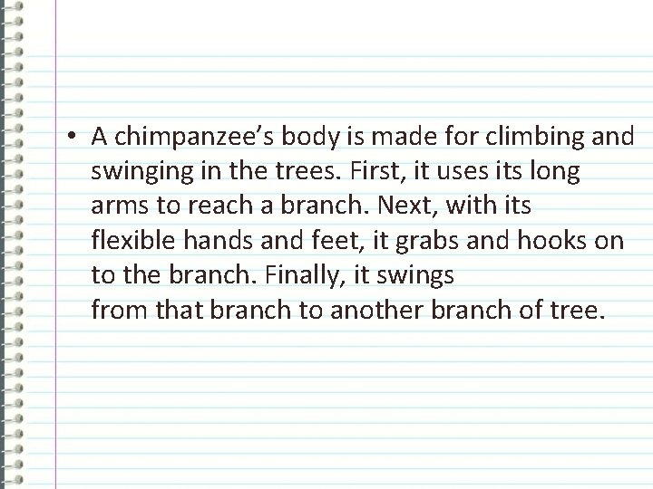  • A chimpanzee’s body is made for climbing and swinging in the trees.