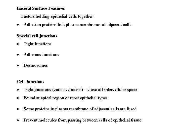 Lateral Surface Features Factors holding epithelial cells together Adhesion proteins link plasma membranes of