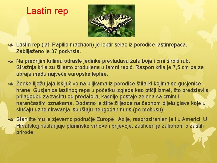 Lastin rep (lat. Papilio machaon) je leptir selac iz porodice lastinrepaca. Zabilježeno je 37