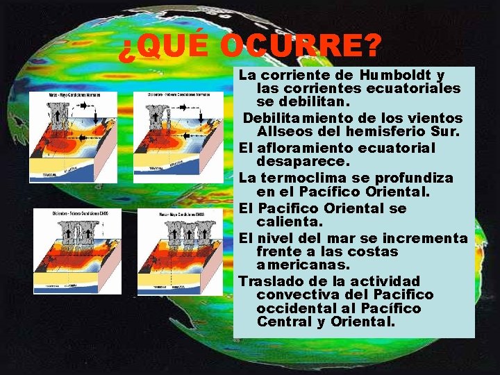 ¿QUÉ OCURRE? La corriente de Humboldt y las corrientes ecuatoriales se debilitan. Debilitamiento de