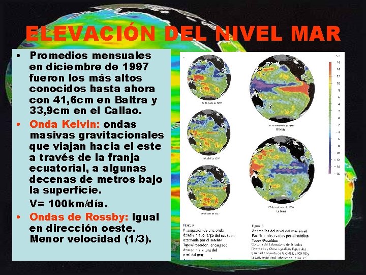 ELEVACIÓN DEL NIVEL MAR • Promedios mensuales en diciembre de 1997 fueron los más