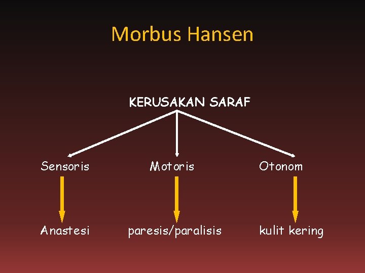 Morbus Hansen KERUSAKAN SARAF Sensoris Motoris Anastesi paresis/paralisis Otonom kulit kering 