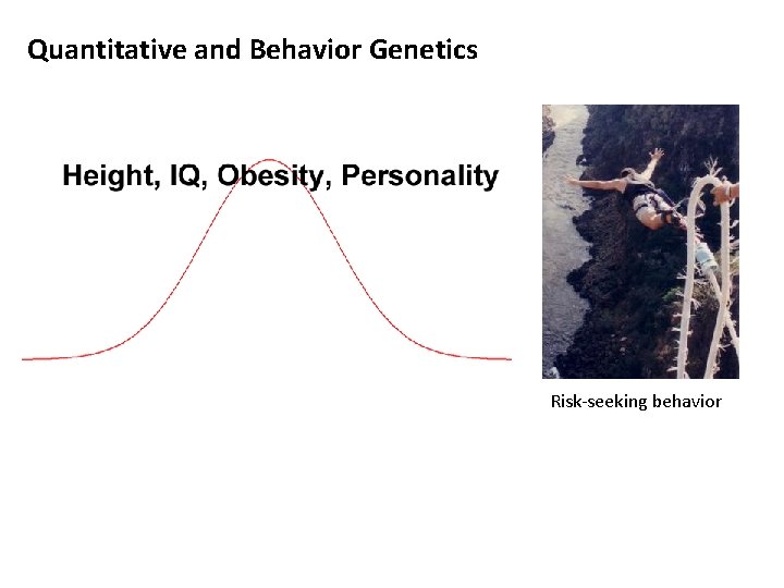 Quantitative and Behavior Genetics Risk-seeking behavior 
