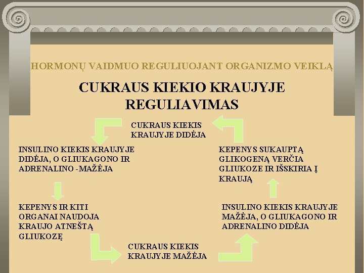 HORMONŲ VAIDMUO REGULIUOJANT ORGANIZMO VEIKLĄ CUKRAUS KIEKIO KRAUJYJE REGULIAVIMAS CUKRAUS KIEKIS KRAUJYJE DIDĖJA INSULINO