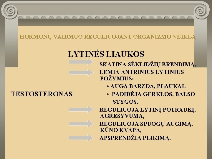 HORMONŲ VAIDMUO REGULIUOJANT ORGANIZMO VEIKLĄ LYTINĖS LIAUKOS TESTOSTERONAS SKATINA SĖKLIDŽIŲ BRENDIMĄ, LEMIA ANTRINIUS LYTINIUS