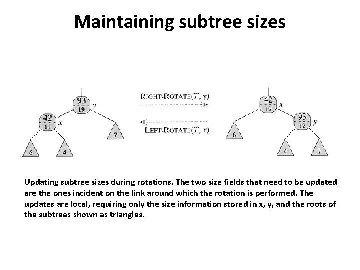 Maintaining subtree sizes Updating subtree sizes during rotations. The two size fields that need