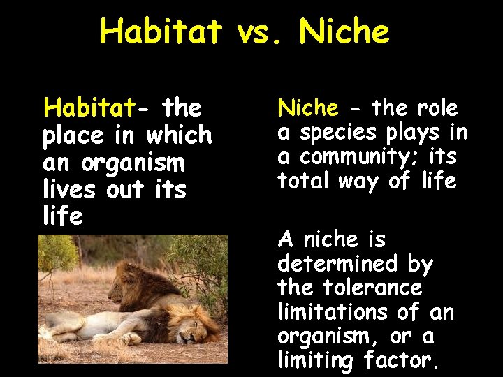 Habitat vs. Niche Habitat- the place in which an organism lives out its life