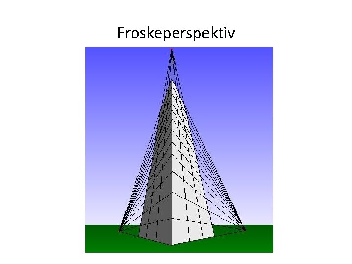 Froskeperspektiv 