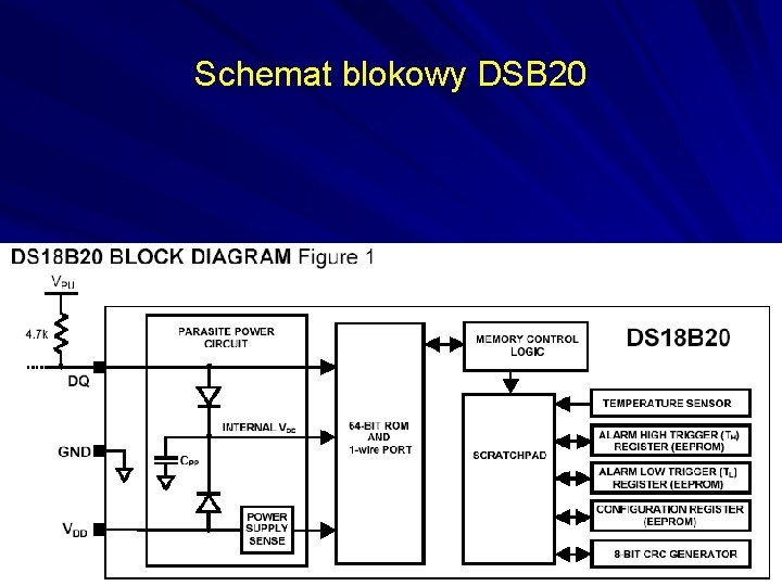 Schemat blokowy DSB 20 
