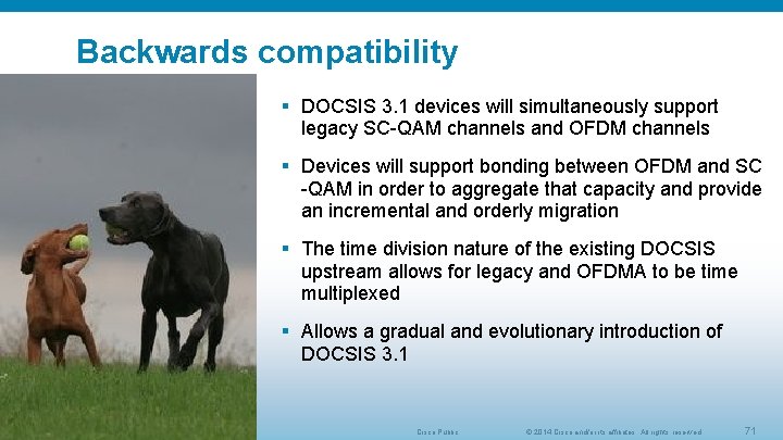 Backwards compatibility § DOCSIS 3. 1 devices will simultaneously support legacy SC-QAM channels and