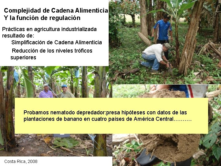 Complejidad de Cadena Alimenticia Y la función de regulación Prácticas en agricultura industrializada resultado