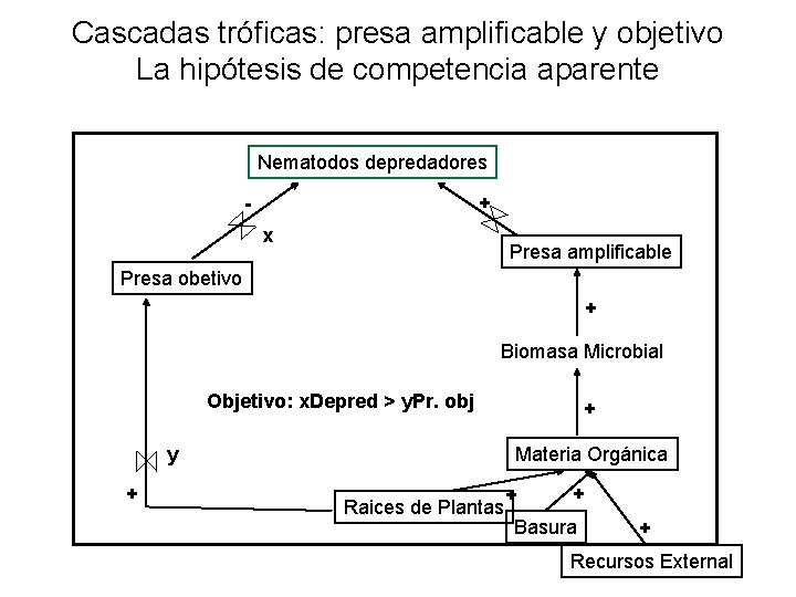 Cascadas tróficas: presa amplificable y objetivo La hipótesis de competencia aparente Nematodos depredadores +