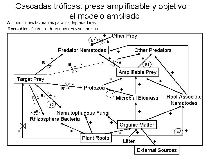 Cascadas tróficas: presa amplificable y objetivo – el modelo ampliado A=condiciones favorables para los