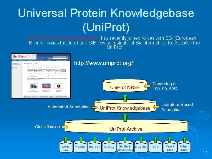 Universal Protein Knowledgebase (Uni. Prot) PIR (Protein Information Resource) has recently joined forces with