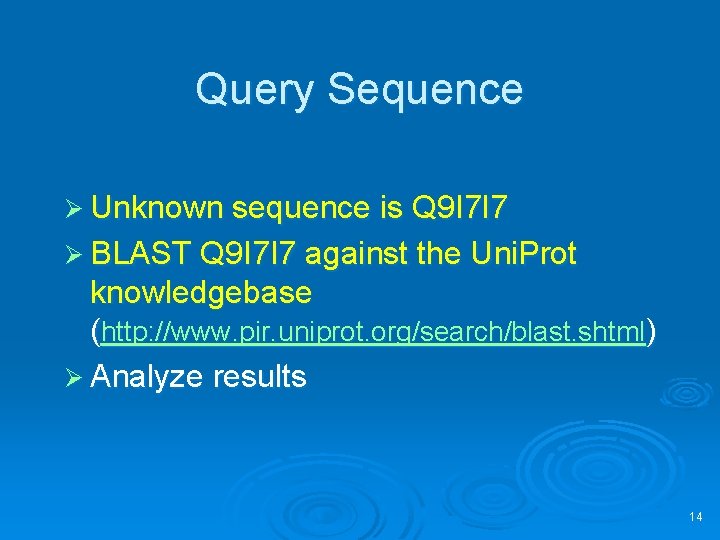 Query Sequence Ø Unknown sequence is Q 9 I 7 I 7 Ø BLAST