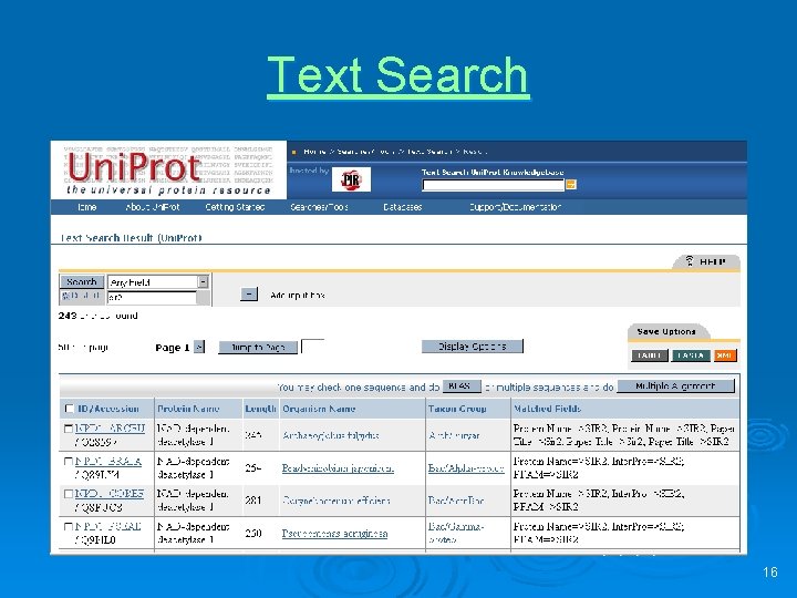 Text Search 16 