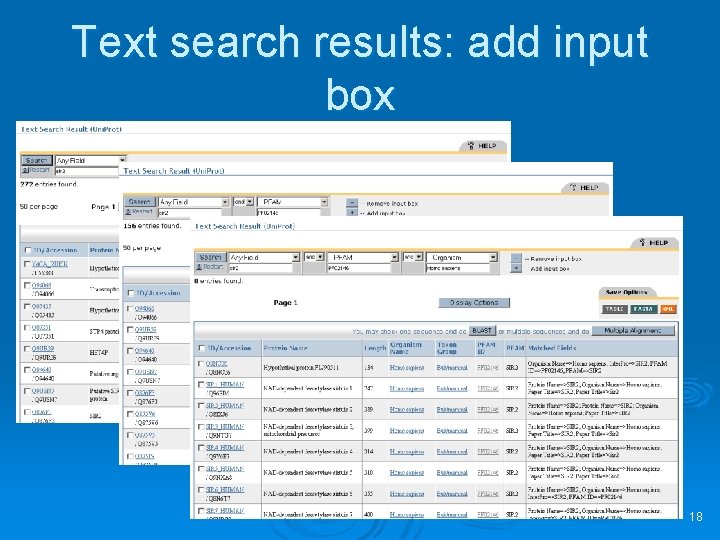 Text search results: add input box 18 