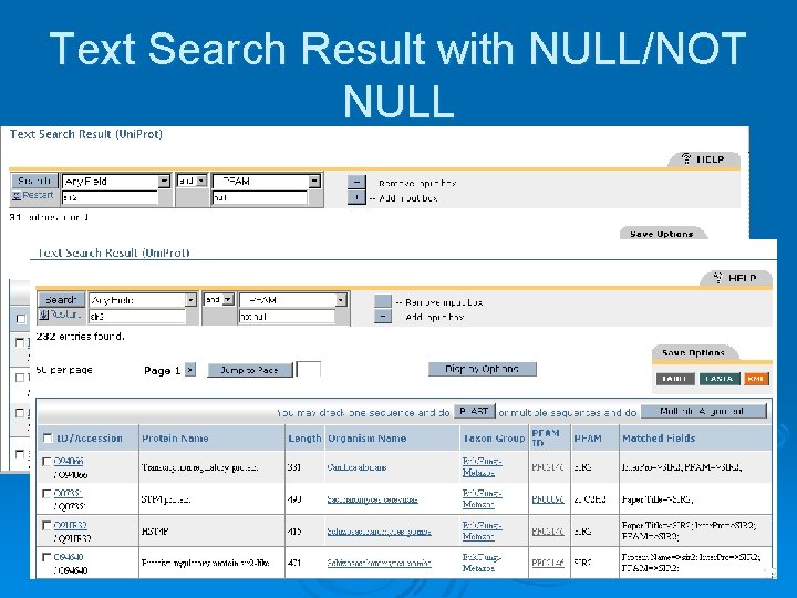 Text Search Result with NULL/NOT NULL 19 