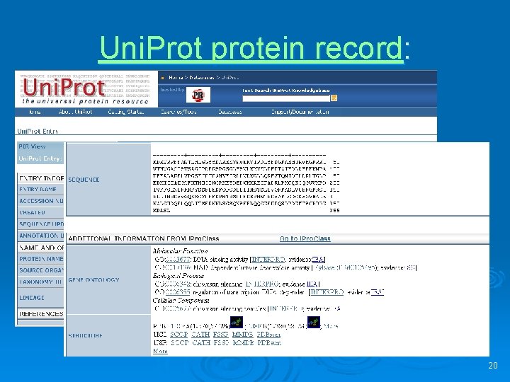 Uni. Prot protein record: 20 