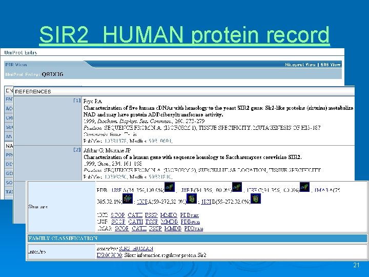 SIR 2_HUMAN protein record 21 