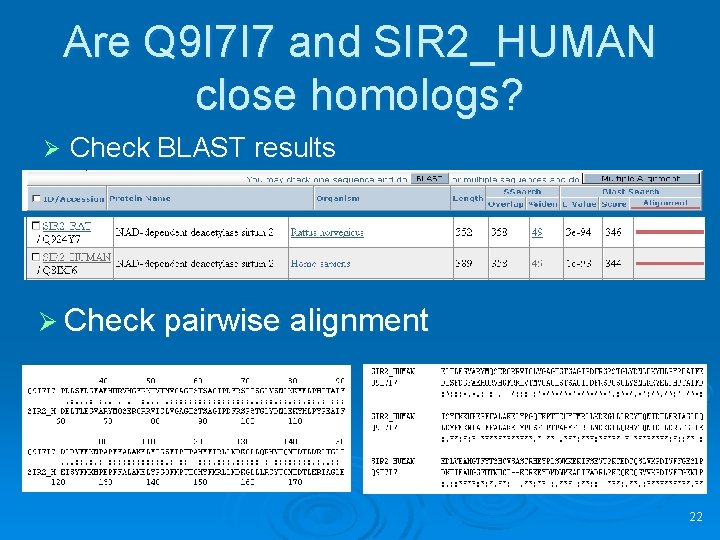 Are Q 9 I 7 I 7 and SIR 2_HUMAN close homologs? Ø Check