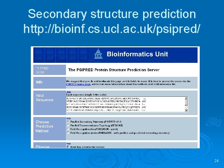 Secondary structure prediction http: //bioinf. cs. ucl. ac. uk/psipred/ 24 