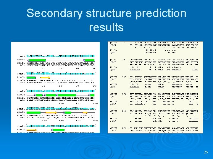 Secondary structure prediction results 25 