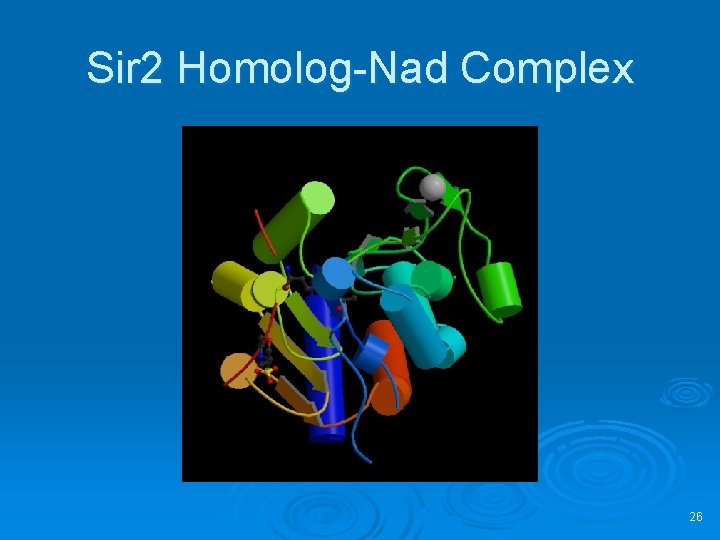 Sir 2 Homolog-Nad Complex 26 