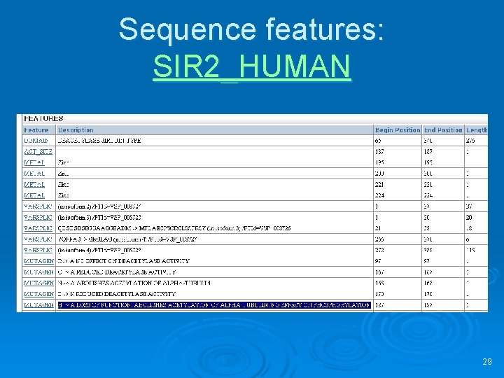 Sequence features: SIR 2_HUMAN 29 