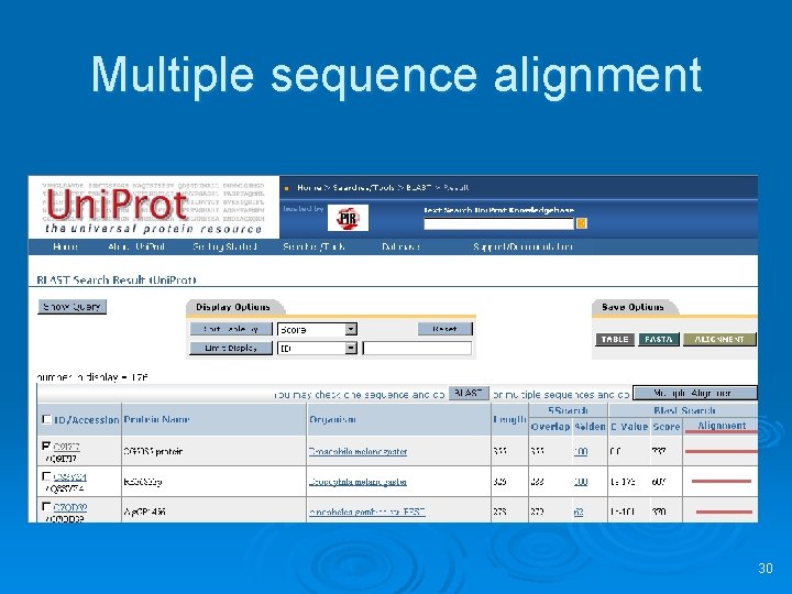 Multiple sequence alignment 30 