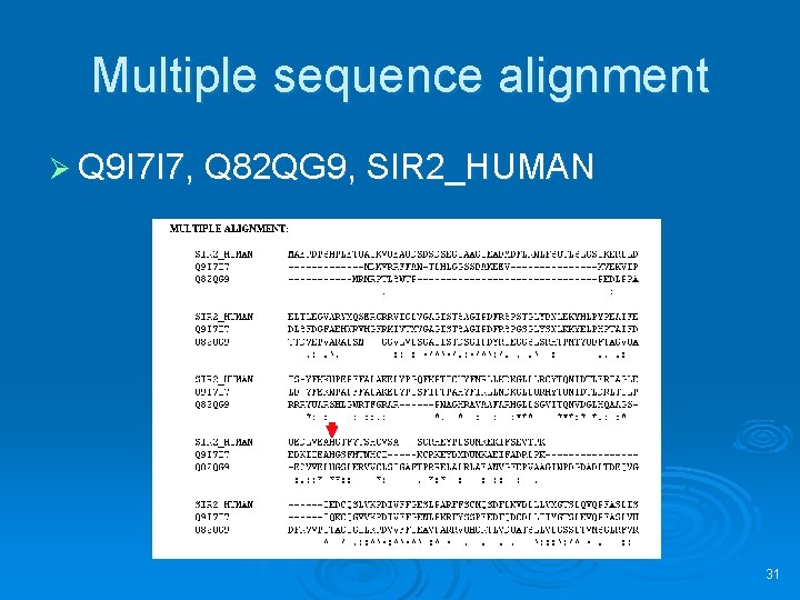 Multiple sequence alignment Ø Q 9 I 7 I 7, Q 82 QG 9,