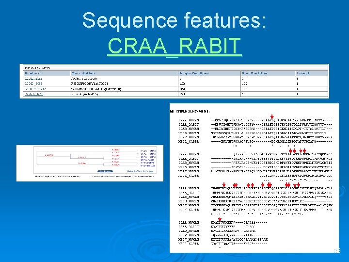 Sequence features: CRAA_RABIT 32 