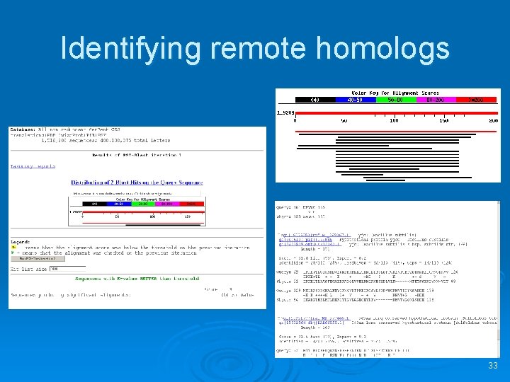 Identifying remote homologs 33 