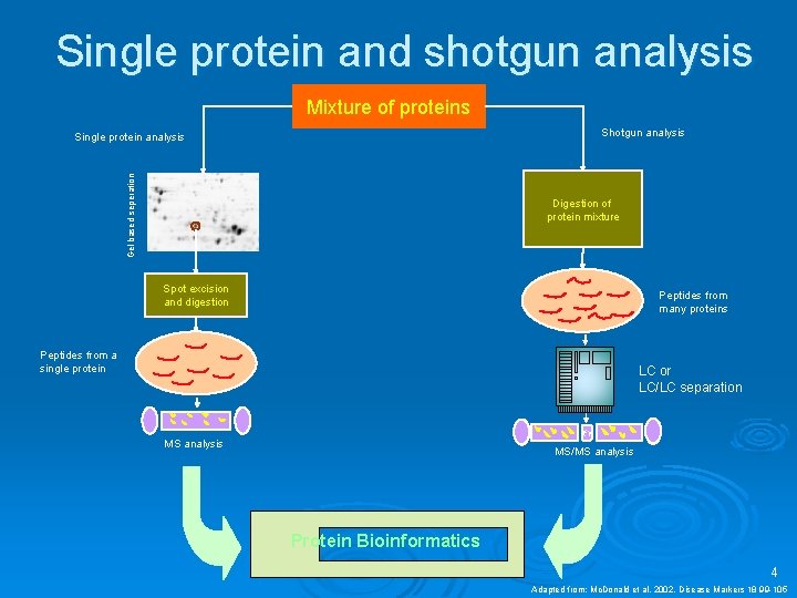 Single protein and shotgun analysis Mixture of proteins Shotgun analysis Gel based seperation Single