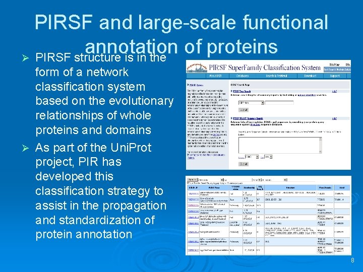 PIRSF and large-scale functional annotation of proteins Ø PIRSF structure is in the form