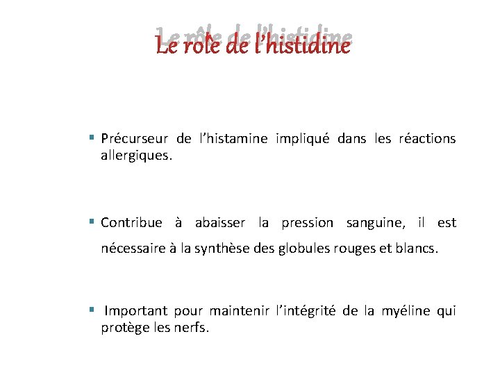 Le rôle de l’histidine § Précurseur de l’histamine impliqué dans les réactions allergiques. §