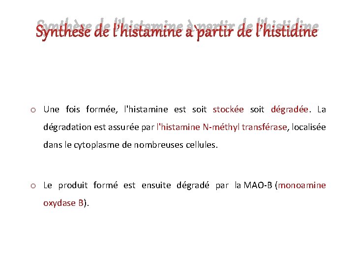 Synthèse de l’histamine à partir de l’histidine o Une fois formée, l'histamine est soit