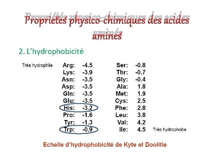 Propriétés physico-chimiques des acides aminés 2. L’hydrophobicité 