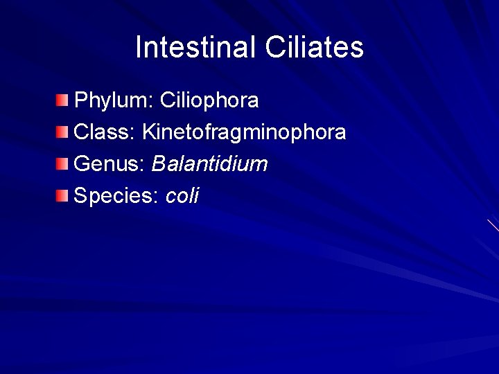 Intestinal Ciliates Phylum: Ciliophora Class: Kinetofragminophora Genus: Balantidium Species: coli 