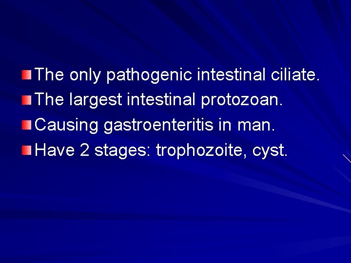 The only pathogenic intestinal ciliate. The largest intestinal protozoan. Causing gastroenteritis in man. Have