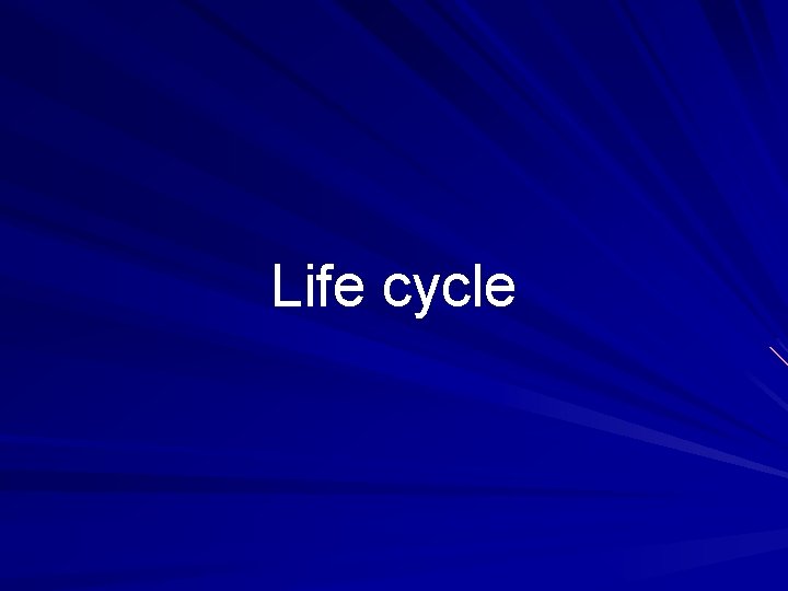 Life cycle 