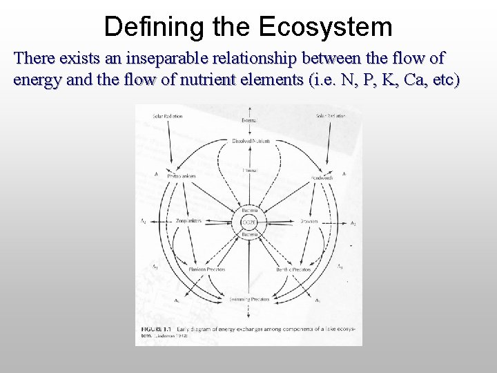 Defining the Ecosystem There exists an inseparable relationship between the flow of energy and