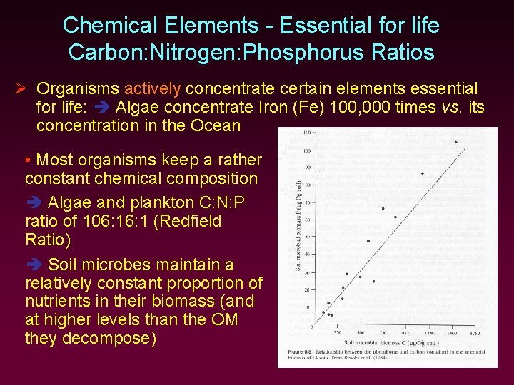 Chemical Elements - Essential for life Carbon: Nitrogen: Phosphorus Ratios Ø Organisms actively concentrate