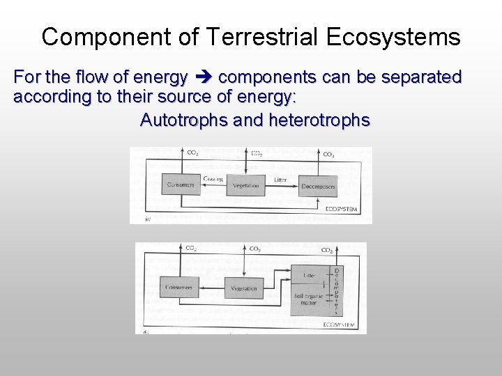 Component of Terrestrial Ecosystems For the flow of energy components can be separated according