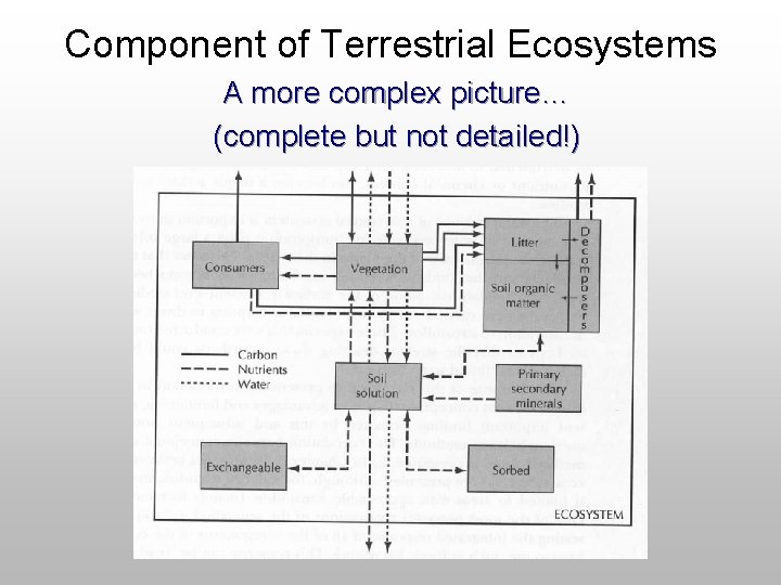 Component of Terrestrial Ecosystems A more complex picture… (complete but not detailed!) 